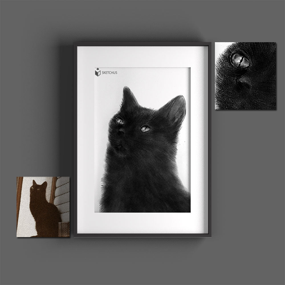 Katze Portrait malen lassen Katzenzeichnung schwarz weiß Katzengesicht Gemälde Bleistift gemalte einfach katzenbilder Skizze Sketchus