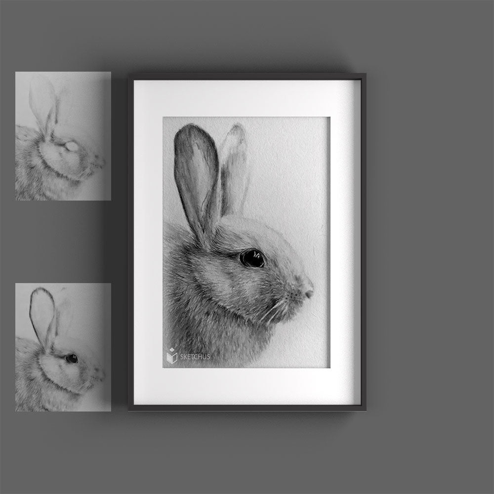 Hase Tierportraits tierzeichnung schwarz weiss bleistift malen tiere zeichnen lassen tierbilder gemalt skizze Sketchus Tierportrait zeichnen lassen haustier malen lassen nach fotovorlage tier malen lassen haustier portrait